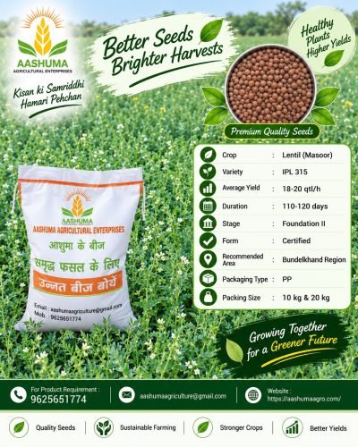 AASHUMA AGRICULTURE MASOOR SEED