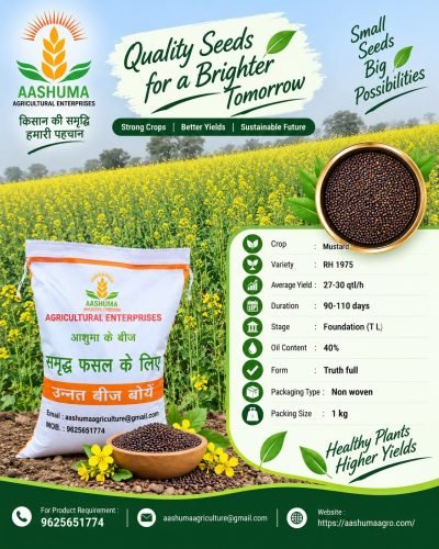 AASHUMA AGRICULTURE MUSTARD SEED