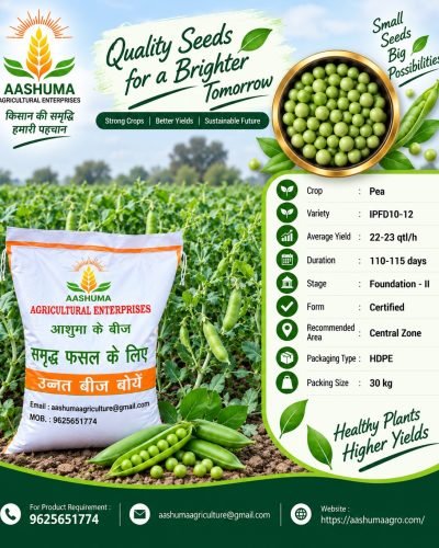 AASHUMA AGRICULTURE PEA SEED
