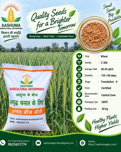 AASHUMA AGRICULTURE WHEAT SEEDS